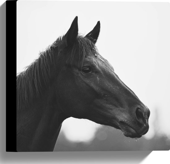 Canvas - Kop van Donker Paard (Zwart- wit) - 30x30 cm Foto op Canvas Schilderij (Wanddecoratie op Canvas)