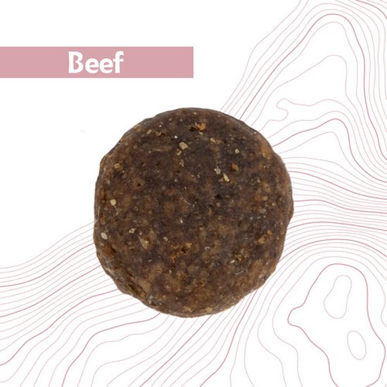 Antelope Fresh Adult - Hondenvoer - Rund - 4 kg