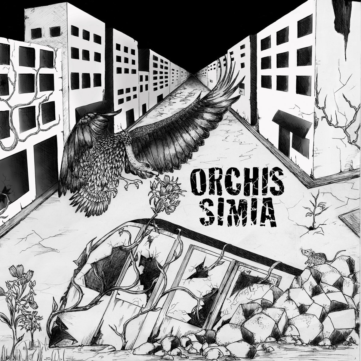 Orchis Simia - Orchis Simia (CD | LP)