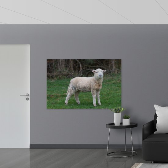PVC Schuimplaat- Lammetje in het Groene Gras - 150x100 cm Foto op PVC Schuimplaat