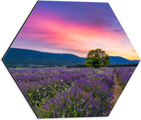Dibond Hexagon - Lavendel Veld met Zonsondergang en Mooie Lucht - 40x34.8 cm Foto op Hexagon (Met Ophangsysteem)