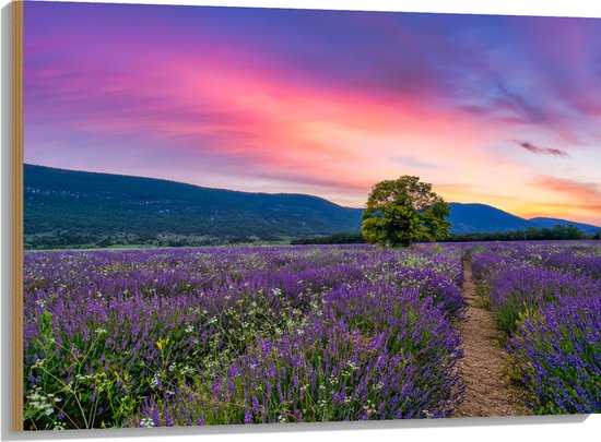 Hout - Lavendel Veld met Zonsondergang en Mooie Lucht - 100x75 cm - 9 mm dik - Foto op Hout (Met Ophangsysteem)