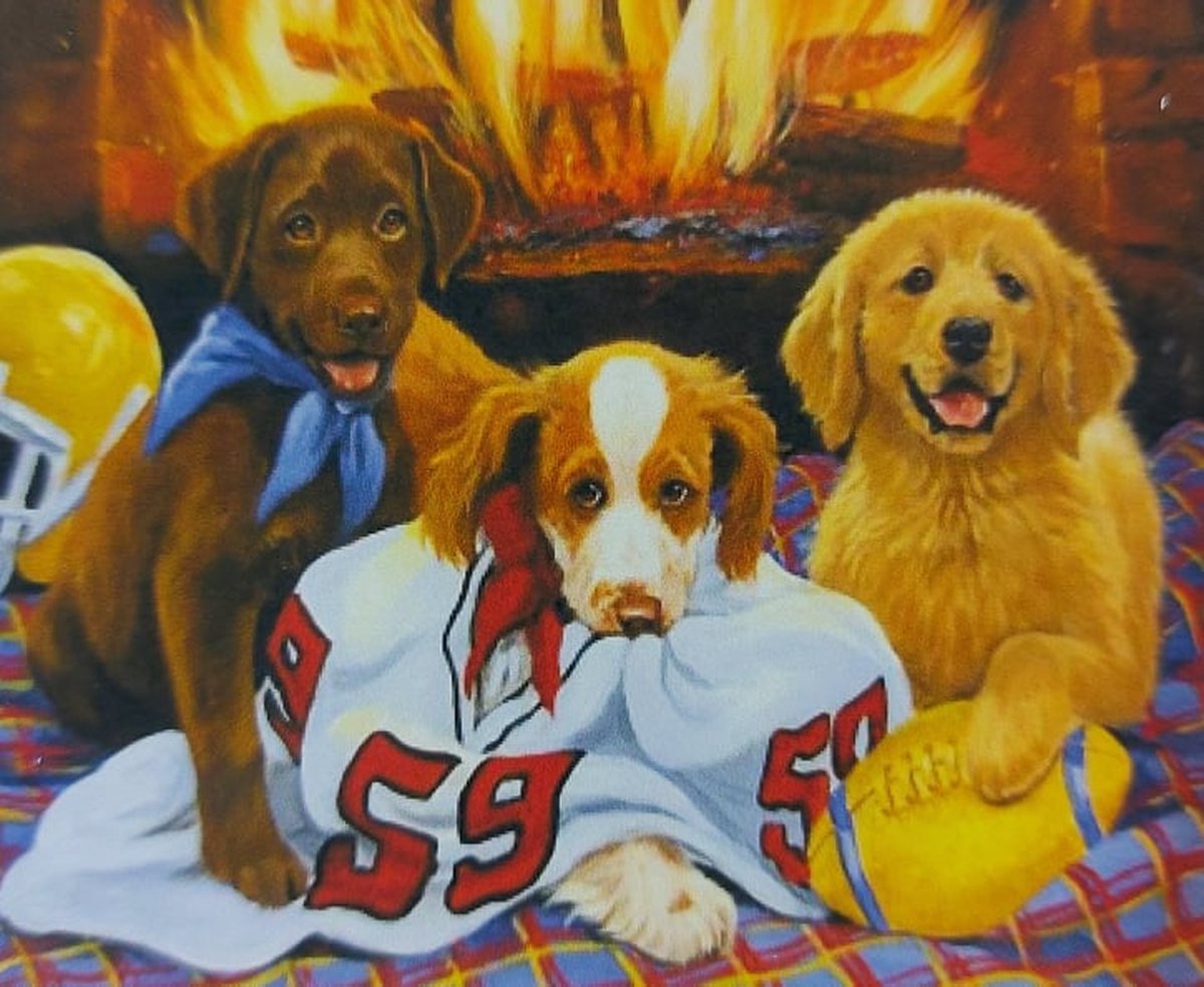 Diamond painting 40 x 50 CM canvas - 43.5 x 32.5 painting - 5D - honden
