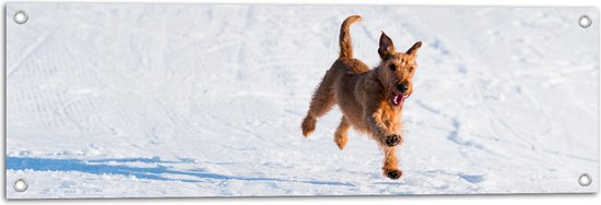 WallClassics - Tuinposter – Bruine Hond rennend in de Sneeuw - 90x30 cm Foto op Tuinposter (wanddecoratie voor buiten en binnen)