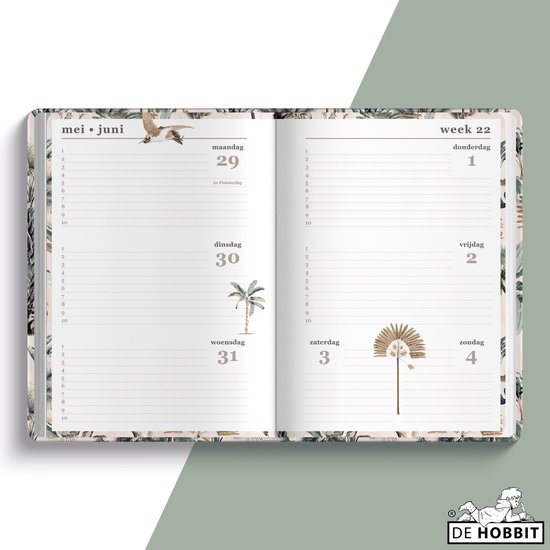 Kokonote XL Agenda 2023 2024 Be Bold - Weekly Calendar 17 Months 2023 2024 - Weekly Planner 23 24 - Weekly Calendar - Appointment Planner
