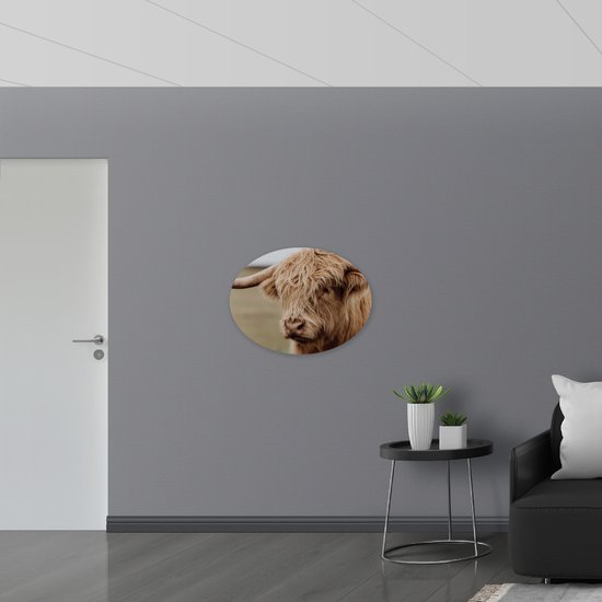 WallClassics - Dibond Ovale - Buffle Brun avec Cornes - 80x60 cm Photo sur Ovale (Avec Système d'accrochage)