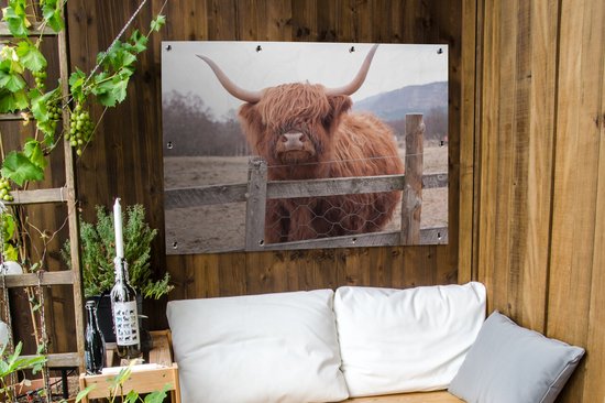 Affiche de jardin - Toile de jardin - Posters de jardin extérieur - Highlander écossais - Herbe - Clôture - 120x90 cm - Jardin