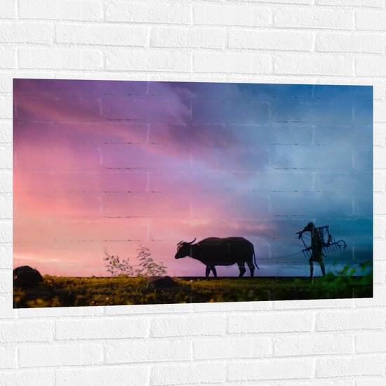 Muursticker - Silhouet van Man werkend met Stier op het Land - 105x70 cm Foto op Muursticker