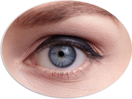 PVC Schuimplaat Ovaal - Close-up van Opgemaakt Blauwkleurig oog - 80x60 cm Foto op Ovaal (Met Ophangsysteem)
