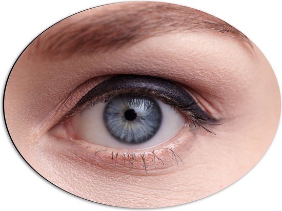 Dibond Ovaal - Close-up van Opgemaakt Blauwkleurig oog - 56x42 cm Foto op Ovaal (Met Ophangsysteem)