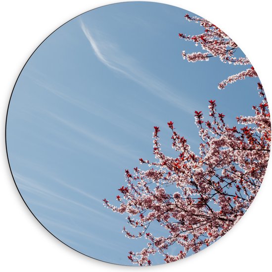 Dibond Muurcirkel - Bloesemboom onder Blauwe Lucht met Lichte Sluierbewolking - 60x60 cm Foto op Aluminium Muurcirkel (met ophangsysteem)