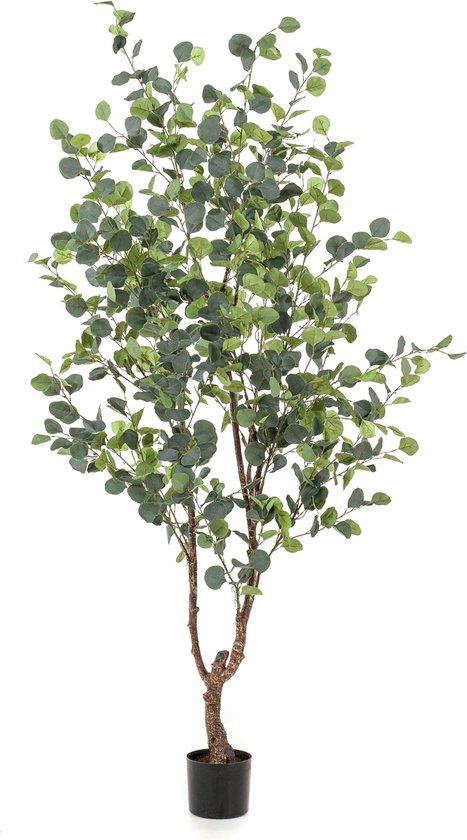 Plante Artificielle - Eucalyptus - Gommier Bleu - 180 cm