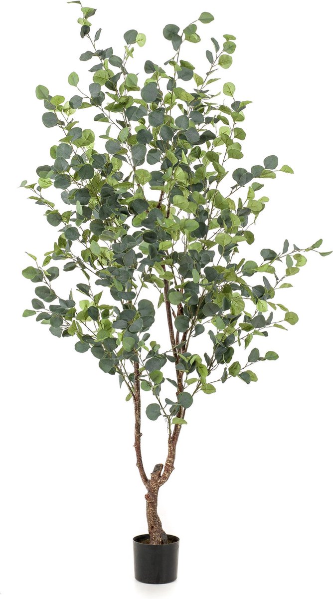 Kunstplant - Eucalyptus - Blauwe Gomboom - 180 cm