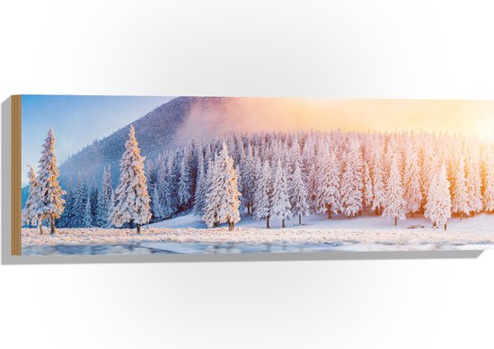 Hout - Felle Zon over het IJs bij Sneeuwbomen in Landschap - 90x30 cm - 9 mm dik - Foto op Hout (Met Ophangsysteem)