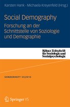 Social Demography Forschung an der Schnittstelle von Soziologie und Demographi