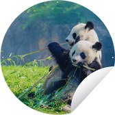 Tuincirkel Panda - Bamboe - Gras - Dieren - 150x150 cm - Ronde Tuinposter - Buiten