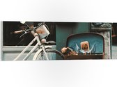 WallClassics - PVC Schuimplaat - Witte geparkeerde Fiets - 120x40 cm Foto op PVC Schuimplaat (Met Ophangsysteem)