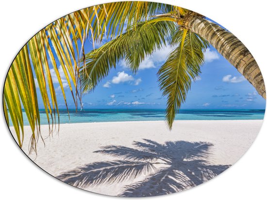 Dibond Ovaal - Hangende Palmbladeren met Schaduw op Tropisch Wit Strand - 80x60 cm Foto op Ovaal (Met Ophangsysteem)