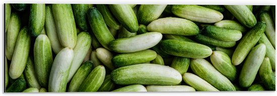 Dibond - Hoopje Groene Komkommers - 60x20 cm Foto op Aluminium (Met Ophangsysteem)