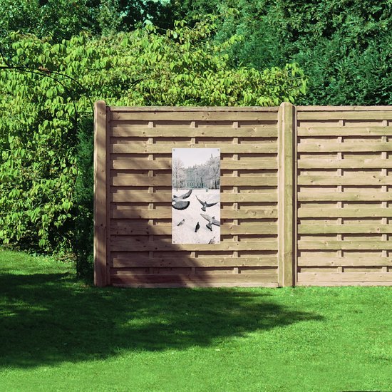 Tuinposter – Groepje Duiven Vliegend door Besneeuwde Stad - 50x100 cm Foto op Tuinposter (wanddecoratie voor buiten en binnen)