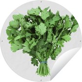 Cercle de jardin - Bouquet de coriandre verte - 120x120 cm - Affiche jardin - XXL