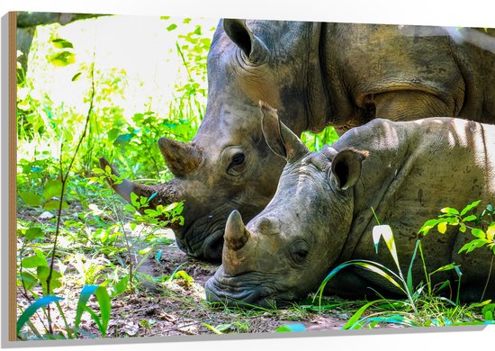 Hout - Neushoorn met Baby liggend tussen Groene Smalle Planten - 120x80 cm - 9 mm dik - Foto op Hout (Met Ophangsysteem)