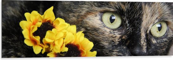 WallClassics - Dibond - Zwarte Poes met Gele Bloemen - 120x40 cm Foto op Aluminium (Wanddecoratie van metaal)