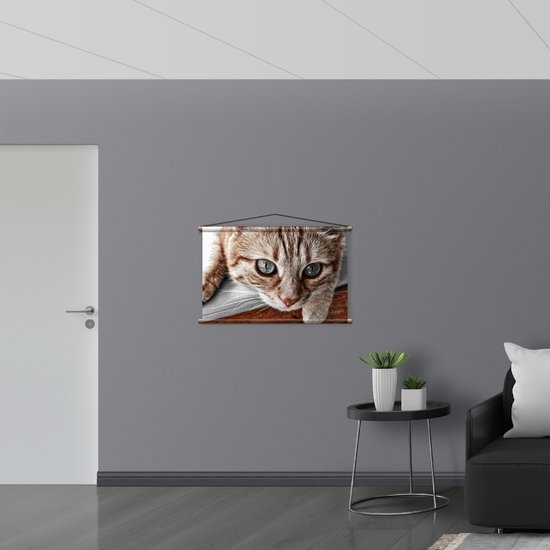 Textielposter - Nieuwschierige Kat - 90x60 cm Foto op Textiel