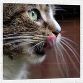 WallClassics - Muursticker - Likkende Kat - 80x80 cm Foto op Muursticker
