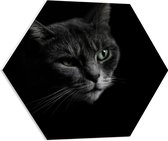 WallClassics - PVC Schuimplaat Hexagon  - Zwart Wit Foto van Kat - 60x52.2 cm Foto op Hexagon (Met Ophangsysteem)