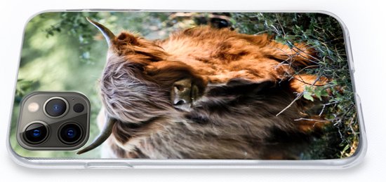 Coque iPhone 13 Pro - Highlanders écossais - Forêt - Animaux - Siliconen