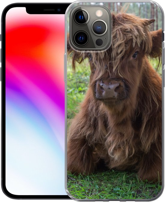Coque iPhone 13 Pro - Highlander écossais - Crapaud - Animaux - Coque de téléphone en Siliconen