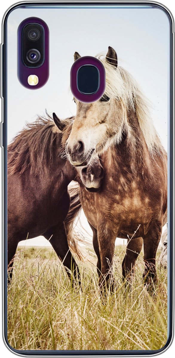 Telefoonhoesje Geschikt voor Samsung Galaxy A40 hoesje - Paarden - Gras - Lente - Siliconen Telefoonhoesje Telefoonhoesje