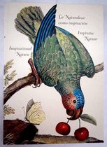 Inspiratie Natuur - Inspiration Nature - Historische tekeningen dieren / planten