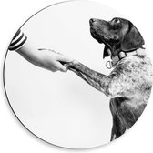 WallClassics - Dibond Muurcirkel - Hond Geeft Poot Zwart - Wit - 50x50 cm Foto op Aluminium Muurcirkel (met ophangsysteem)