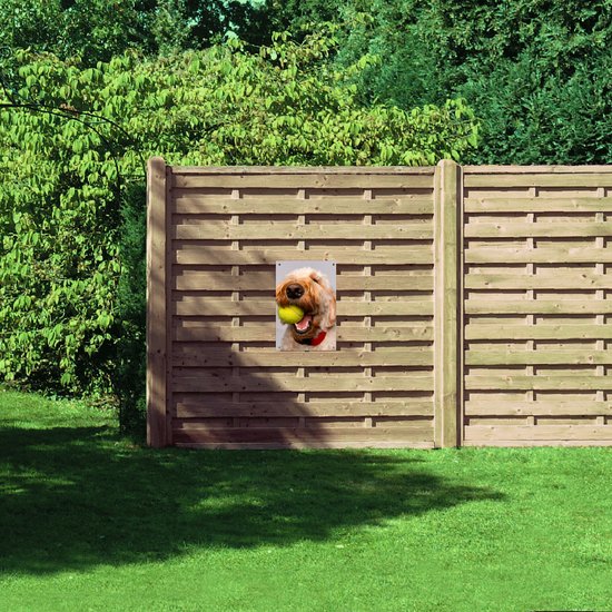 WallClassics - Tuinposter – Hond Speelt met Tennisbal - 40x60 cm Foto op Tuinposter (wanddecoratie voor buiten en binnen)
