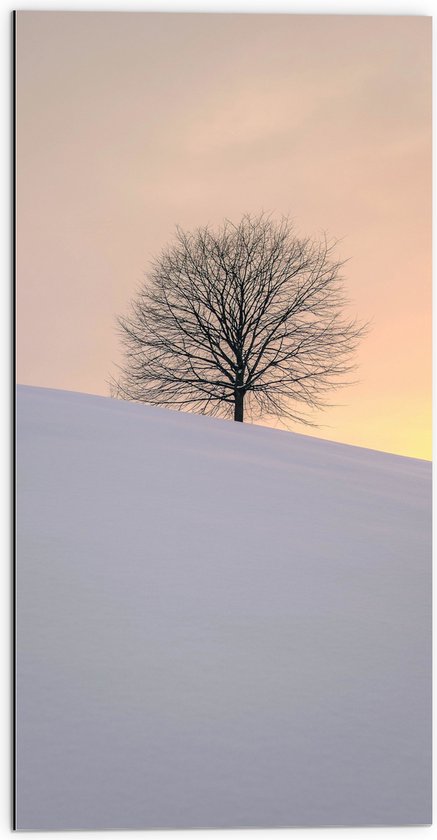 WallClassics - Dibond - Kale Boom op Besneeuwde Heuvel - 50x100 cm Foto op Aluminium (Met Ophangsysteem)