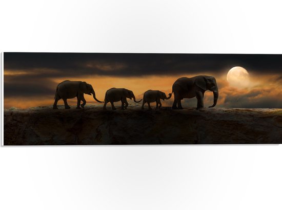 WallClassics - PVC Schuimplaat- Olifanten op een Rots - 60x20 cm Foto op PVC Schuimplaat