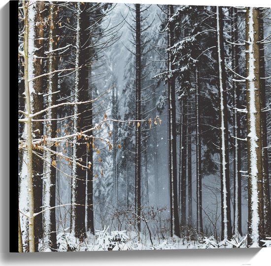 WallClassics - Canvas - Witte Sneeuw op de Bomen - 60x60 cm Foto op Canvas Schilderij (Wanddecoratie op Canvas)