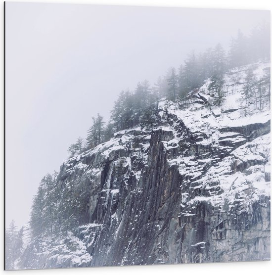 WallClassics - Dibond - Besneeuwde Bergen in de Mist - 100x100 cm Foto op Aluminium (Wanddecoratie van metaal)