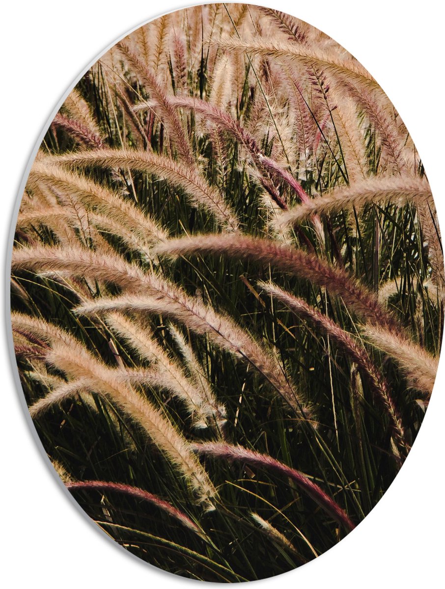 PVC Schuimplaat Ovaal - Sierlijke Fontein Gras - 30x40 cm Foto op Ovaal (Met Ophangsysteem