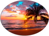 Dibond Ovaal - Palmboom op Prachtig Verlaten Strand met Zonsondergang - 96x72 cm Foto op Ovaal (Met Ophangsysteem)