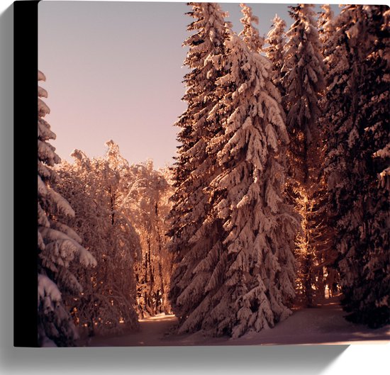 WallClassics - Canvas - Bomen in het Bos onder de Sneeuw - 30x30 cm Foto op Canvas Schilderij (Wanddecoratie op Canvas)