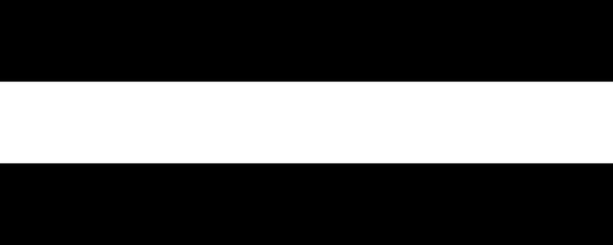 Vlag Diest 120x180cm