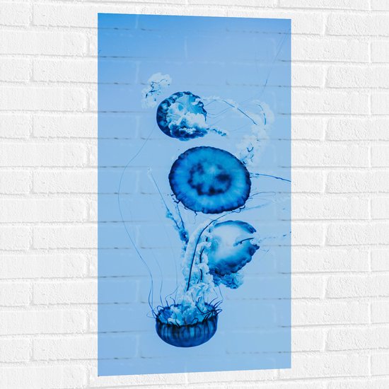 WallClassics - Muursticker - Blauwe Zwemmende Kwallen in het Water - 50x100 cm Foto op Muursticker
