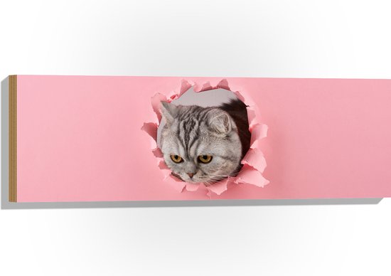 Taupe glitter behang voelbaar relief | Glitter behang