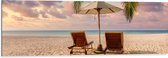 Dibond - Twee Ligbedden op het Strand met Palmboom - 120x40 cm Foto op Aluminium (Met Ophangsysteem)