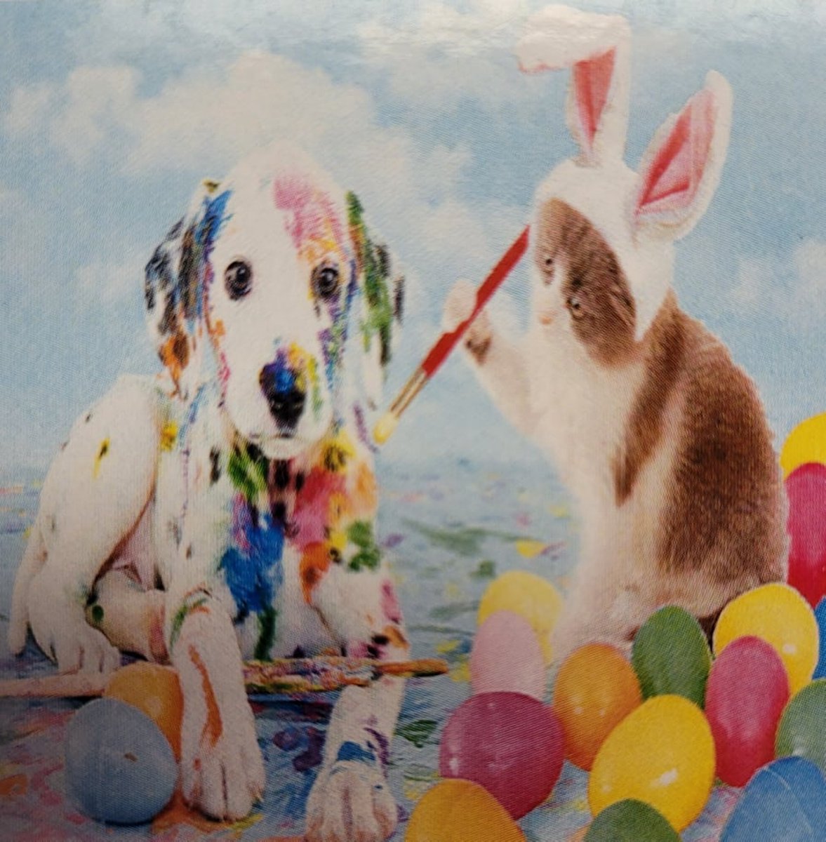 Diamond painting 30 x 30 CM canvas - 25 x 25 cm painting - 5D - pasen tafreel met dieren