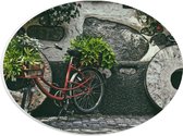 WallClassics - PVC Schuimplaat Ovaal - Rode Fiets versierd met Planten tegen Stenen Muur - 28x21 cm Foto op Ovaal (Met Ophangsysteem)