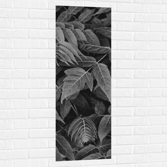 Muursticker - Dichtgroeiende Planten (Zwart- wit) - 40x120 cm Foto op Muursticker
